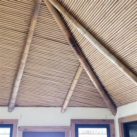 FOREVER BAMBOO 72 L Solid Bamboo Poles for India | Ubuy