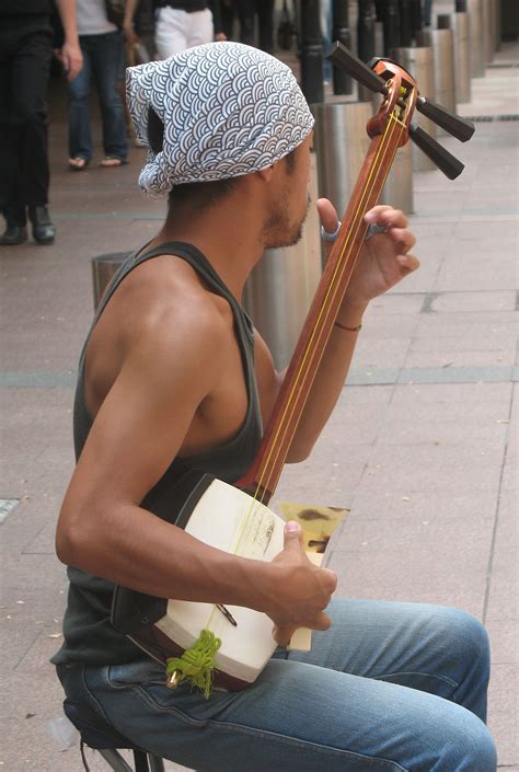 Stringed instrument | Definition, Types, History, Features, & Facts ...