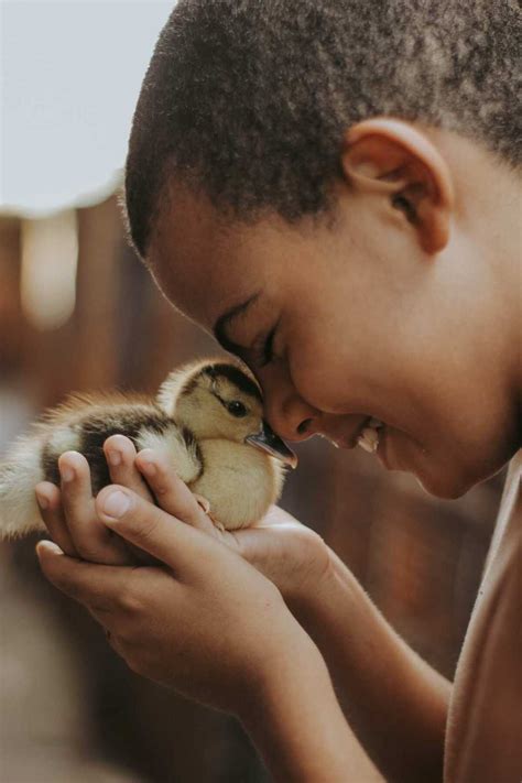 500+ cute and unique duck names for your adorable feathery friends ...