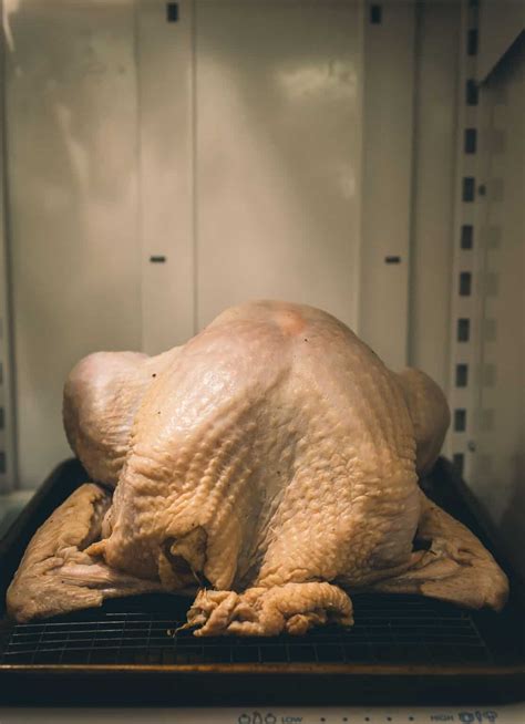 How to Thaw Frozen Turkey - Girl Carnivore