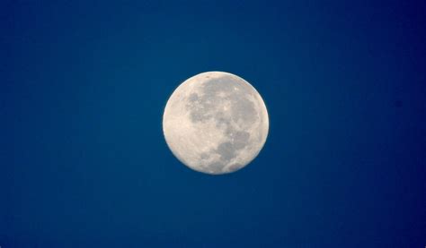 Panty+Pulled+Aside Photos, Download The BEST Free Panty+Pulled+Aside ...