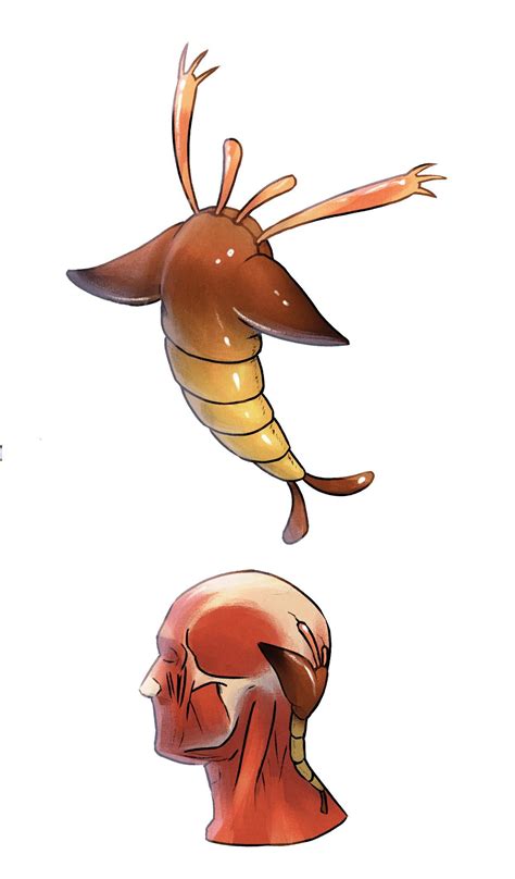 Tarnmara: Mages : r/worldbuilding