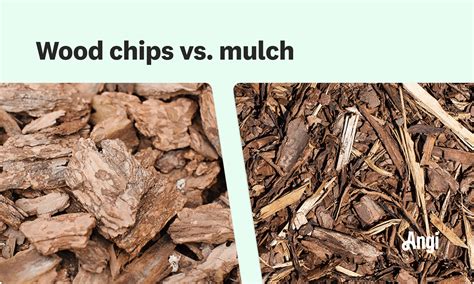 Wood Chips vs. Mulch: What’s the Difference? | Angi