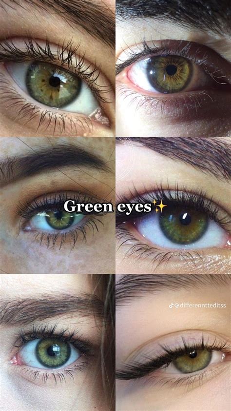 Пин на доске Eyes 👀 | Макияж для глаз, Идеи макияжа, Зеленые глаза