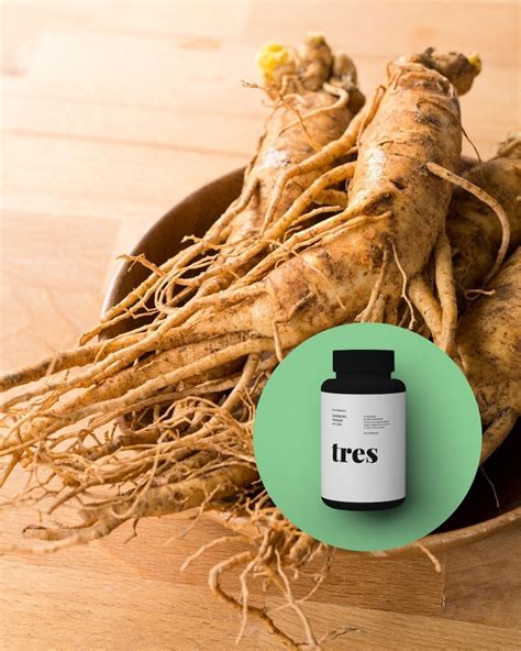 Ginseng Panax: Beneficios, Usos y Propiedades del Adaptógeno para la ...