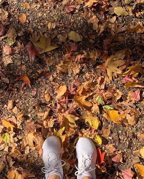 sophia raine (@the.sophiaraine) • Instagram photos and videos