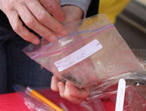 Seed Exchange and Member Presentations – Nature Guelph