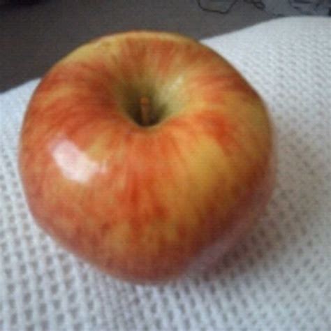 How Many Calories Does A Large Honeycrisp Apple Have at Indiana ...