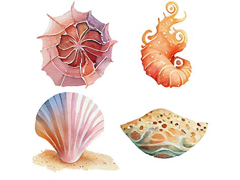 Watercolor Seashells Clip Art Instant Download Commercial Use Sea Shell ...