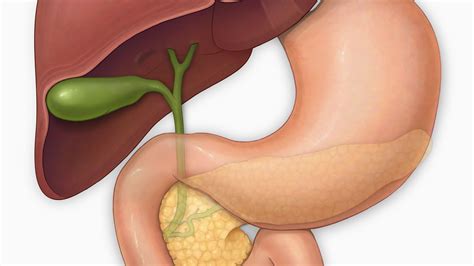 Bile Duct Cancer Survival Rate Stage 4 - CancerWalls