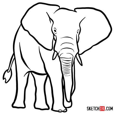 How to draw an Elephant front view | Wild Animals - Sketchok Easy ...