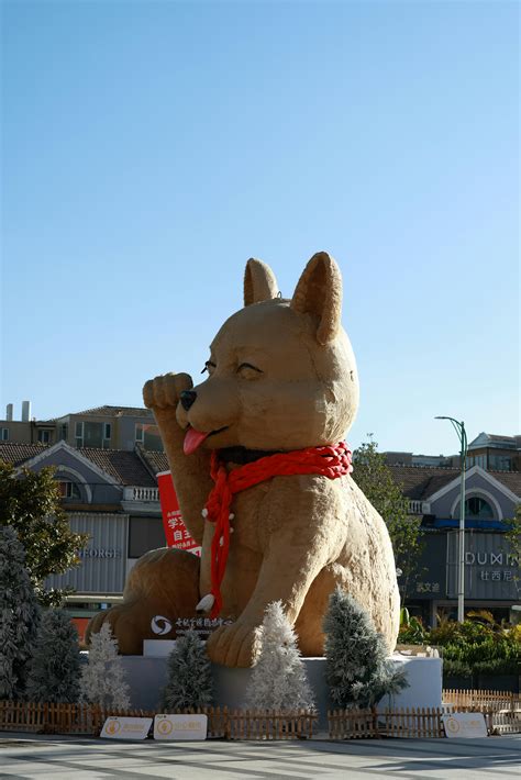 Mom+Big+Boobs Photos, Download The BEST Free Mom+Big+Boobs Stock Photos ...