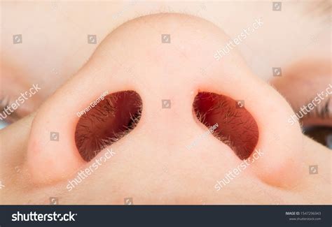 Nose Inside