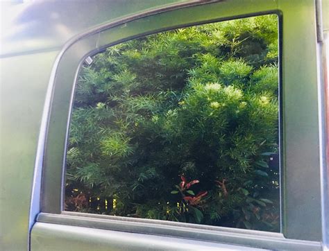 Camping across America in an SUV—blackout windows tip: black butcher ...