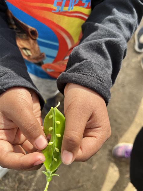 Hancock Park Elementary