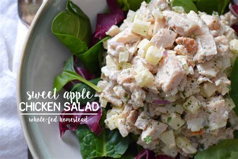 Sweet Apple Chicken Salad Recipe - Whole-Fed Homestead