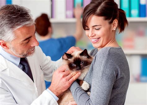 111 Fun & Interesting Facts for Veterinary Practices | LifeLearn