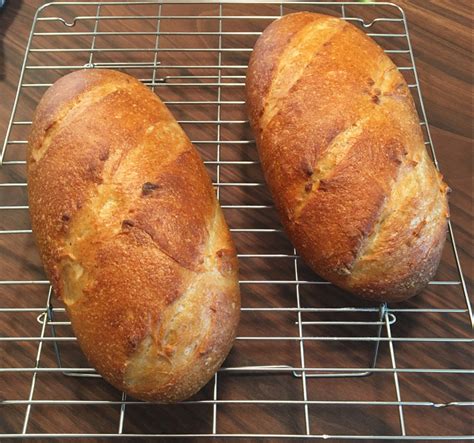 Wolf Convection Steam Oven Recipes - Banana-breads.com