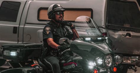 Armed Security Officer Job Description