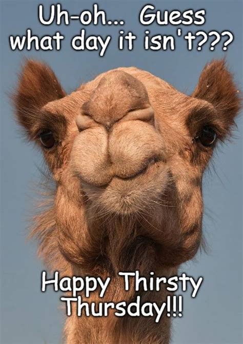 145+ Epic Funny Thursday Memes to Survive the Week - LN