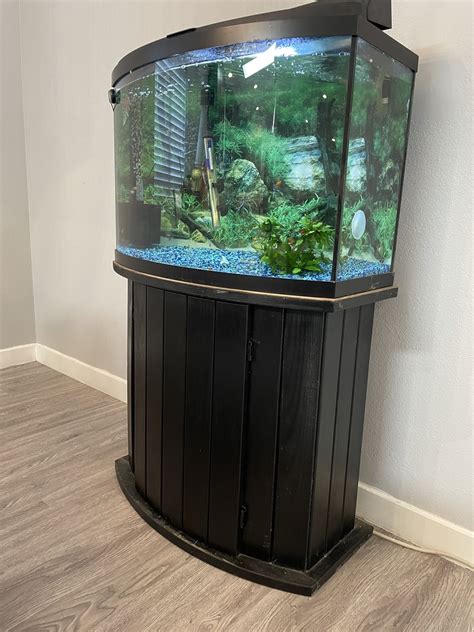 Curved Fish Tank With Stand - Aquariumia