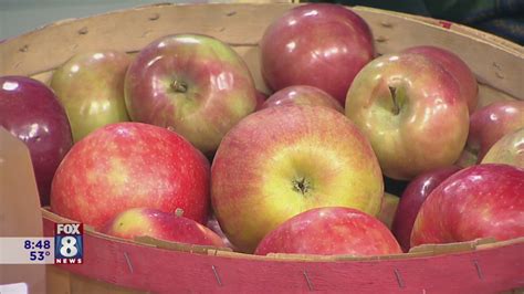 Fall fun at Mapleside Farms includes apples, corn mazes, a giant slide ...