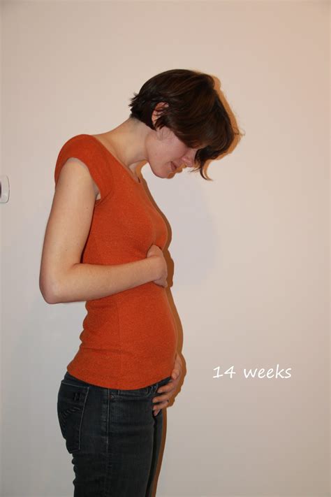 14 weeks pregnant – The Maternity Gallery