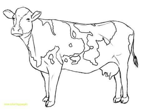 Cow Coloring Pages For Kids at GetDrawings | Free download