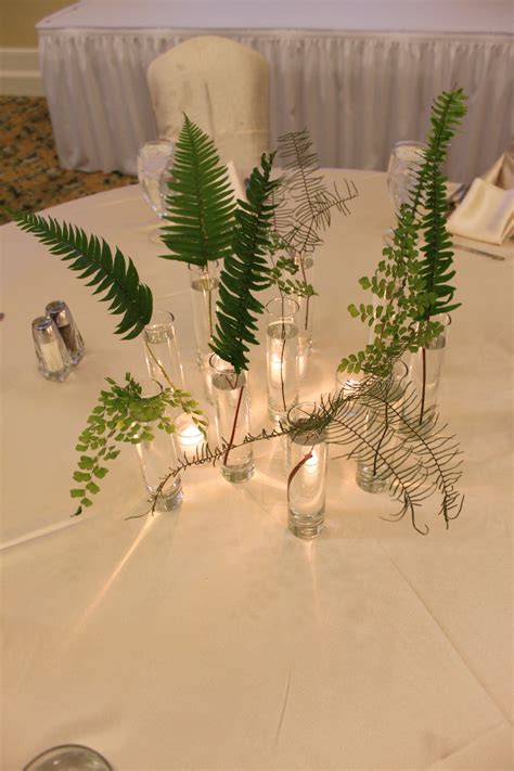 Potted Fern Centerpieces