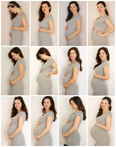 Evolution of a Belly | Baby bump progression, Pregnancy months ...