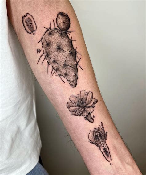 Michele Volpi on Instagram: ““Prickly pear botanical study” Thanks a ...