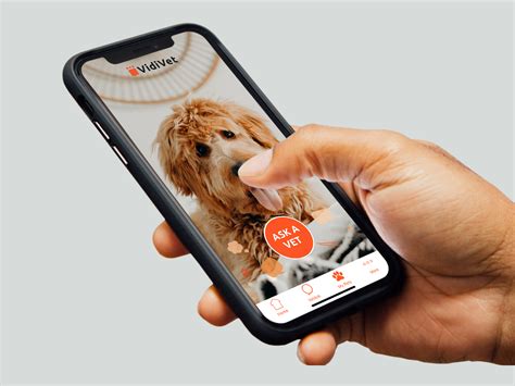 Vidivet 24/7 Veterinary advice and support - Mayne Vets