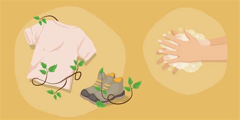 Does Washing Clothes Remove Urushiol Oil And How To Be Safe