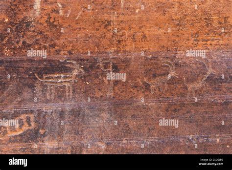 Buckskin Gulch petroglyphs along the Wire Pass Trail, Vermilion Cliffs ...