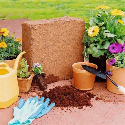 Envelor Compressed Coco Coir Brick Potting Soil (10 lb) Delivery or Pickup Near Me - Instacart