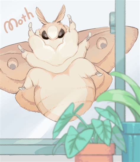 Pin by Spring Paul on funny stuff in 2025 | Cute animal drawings, Cute moth, Cute drawings