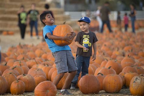 Cal Poly Pomona Pumpkin Fest