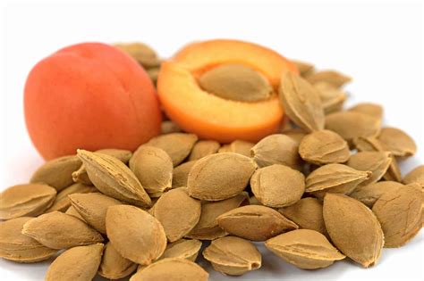 Prunus Armeniaca (Apricot) Kernel Oil Skin Benefits at Mary Reilly blog