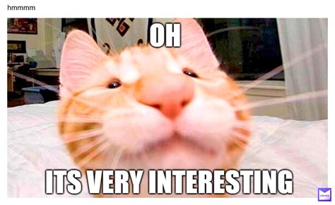 Very Interesting Meme