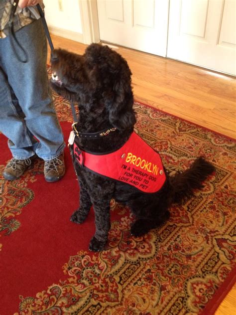 DeMoney-Grimes Funeral Home | Columbia City IN