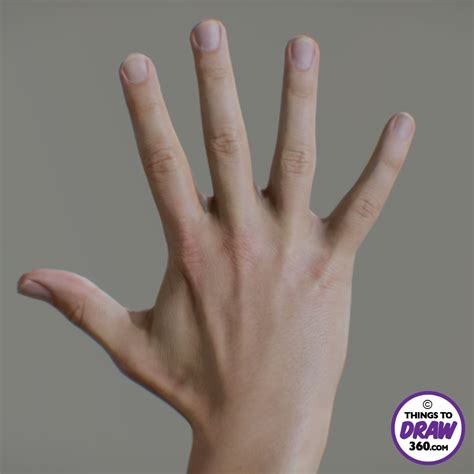 360° Drawing References - Things to Draw