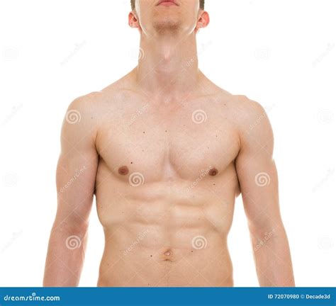 Male Chest Anatomy - Man Muscles Front View Stock Photo - Image of white, view: 72070980
