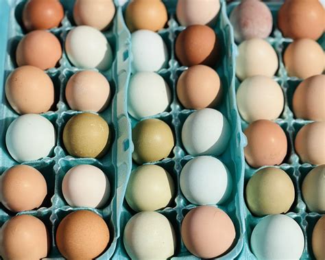 The Howze Mortuary added a new photo. - The Howze Mortuary