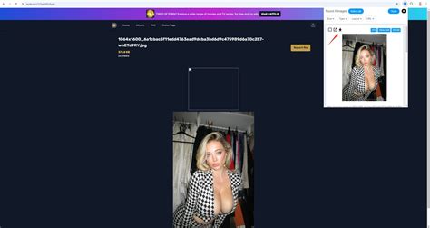 Come scaricare tutte le immagini dagli album pubblici di Bunkr? - Imaget