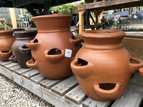 Strawberry pot basics - Home for the Harvest