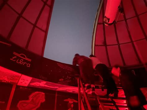 Beneath the Stars and Planets | Magazine | The Harvard Crimson