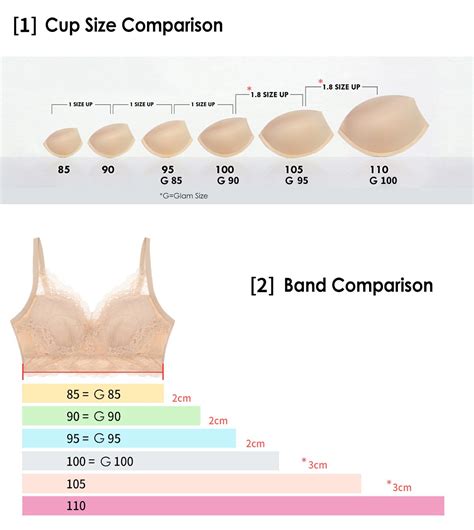 Size Chart 5mm Padded Bra (8 Different Bra Sizes)