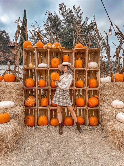 Best Pumpkin Patch in San Diego - Goff Family Pumpkin Patch - Life By ...