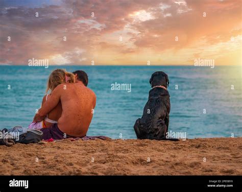 couple sitting on the beach, man giving massage to women in bournemouth ...