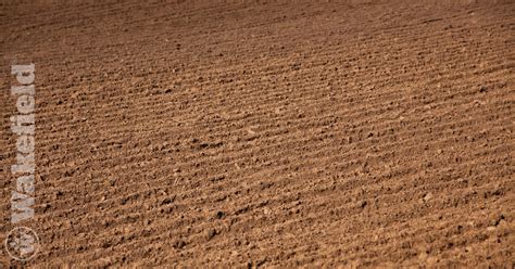 Loamy Soil Conditions - Wakefield BioChar